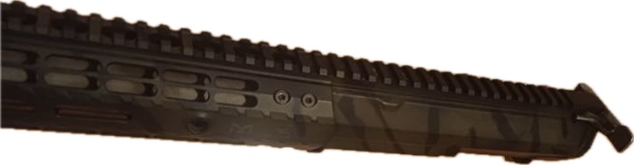 image3.jpeg